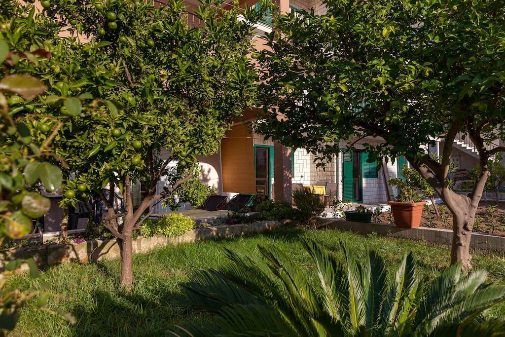 Apartmani Sanja Suta Podstrana Exteriér fotografie